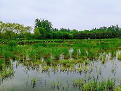 -大兴滨河森林公园