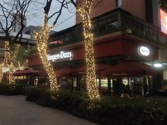 -哈根达斯(武汉天地店)