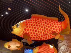 -肥福排档(星光店)