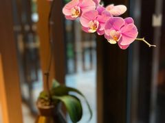 -拾溪餐厅·包厢(杭州千禧度假酒店)
