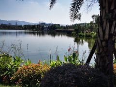 -枫香湖儿童公园