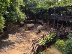 -长鹿旅游休博园