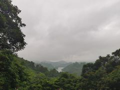 -天鹿湖森林公园