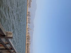 -野鸭湖国家湿地公园