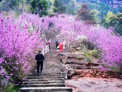 -天台山赤城山景区