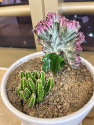 点击看大图 -JNK皮肤管理中心