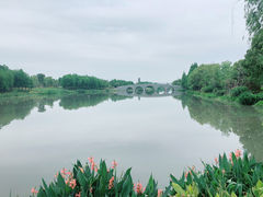 -三垟湿地