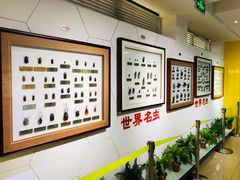 -上海昆虫博物馆