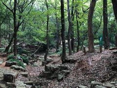 -宝岩生态观光园