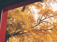 -北京石刻艺术博物馆(五塔寺)
