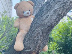 -百盛(中山路店)