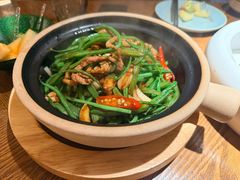 -馋嘴猫北京食堂·烤鸭·宵夜(亚运村店)