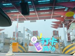 -胶州湾海底隧道