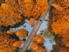 -桤木河湿地公园