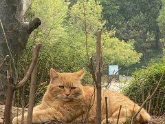 -香山公园