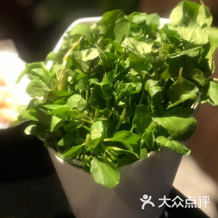 珍滋味港式粥火锅西洋菜图片-北京火锅-大众点评网