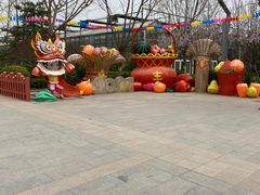 -南宫五洲植物乐园