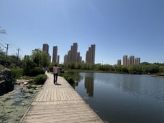 -前关湿地公园
