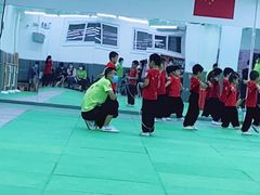 -武术世家少儿培训中心(首都体育学院店)