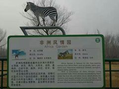 -秦皇岛野生动物园