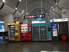 -大望路(地铁站)