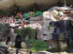 -南宫五洲植物乐园