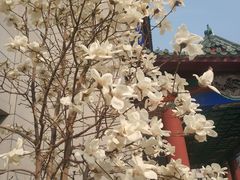 -中国中医科学院西苑医院(本部)