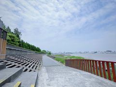 -上海滨江森林公园