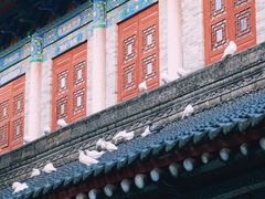 -西安大兴善寺