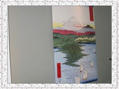 -上海圣淘沙万怡酒店