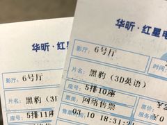 -红星电影世界上海张江绿地店