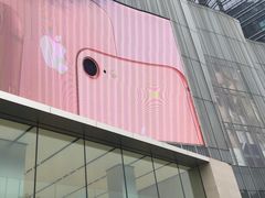 -Apple零售店(玄武湖店)