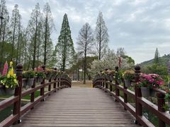 -苏州上方山国家森林公园
