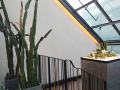 -大树餐厅(红旗街万达店)