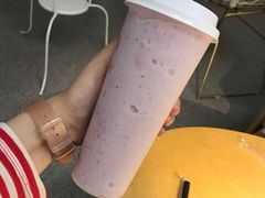 -豆老板的猫咖啡(碑林博物馆店)