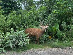 -海南热带野生动植物园
