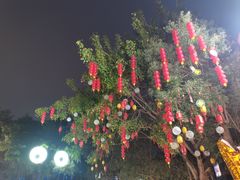 -若蘭慈·无国界素食料理(欢乐海岸店)