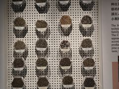 -中国茶叶博物馆(双峰馆区)