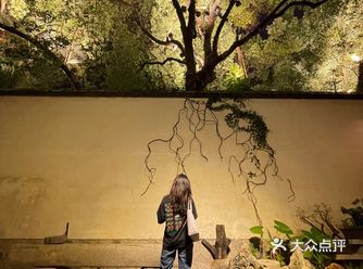 三坊七巷爱心树都拍烂啦️