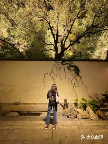 三坊七巷爱心树都拍烂啦️