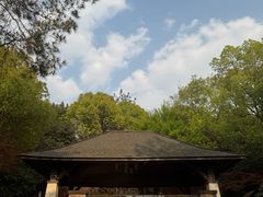 -天目湖涵田半山温泉