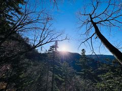 -凤凰山国家森林公园