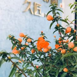 点击看大图 -久匠半永久纹眉