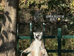 -杭州野生动物世界