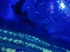 -成都浩海立方海洋公园