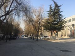 -奇芳阁