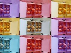 -王宝和酒家(黄浦店)