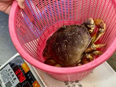 -明记海鲜大排档(巽寮湾店)