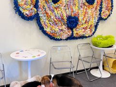 -有喵·猫咖·狗咖·30几只猫10只小狗(岗厦店)