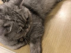 -Oasis绿洲银饰珍珠手作diy(壹方城店)